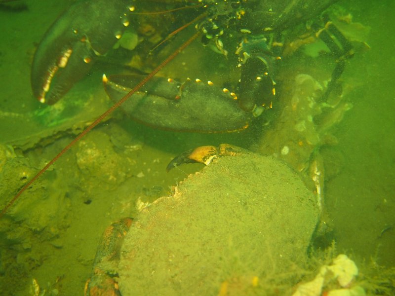 2014-10-18 16-10-08.JPG